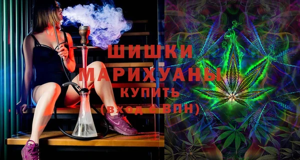 мдпв Волоколамск