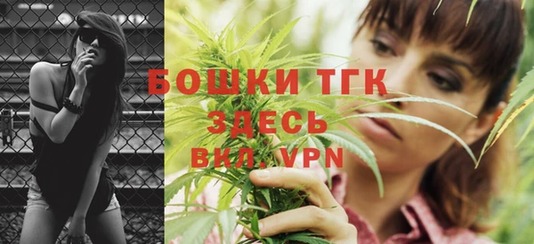 ешки Бородино