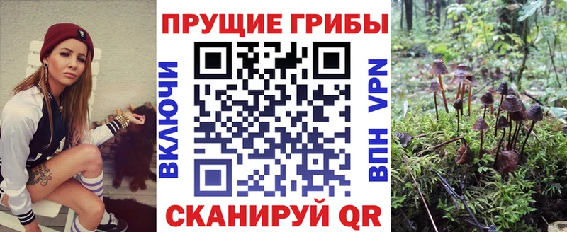 Псилоцибиновые грибы мицелий  Дюртюли 